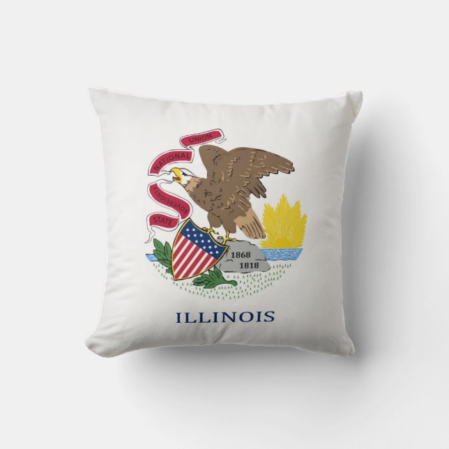 Cool State Of Illinois Flag Throw Pillow (Front)