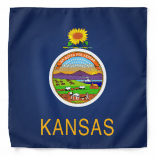 Cool State Of Kansas Flag Fashion Bandana