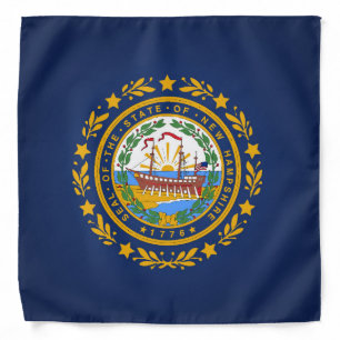 Cool State Of New Hampshire Flag Fashion Bandana