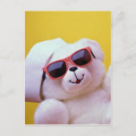 Cool Teddy Bear With Sunglass Postcard at Zazzle