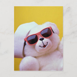 Cool teddy bear with sunglass postcard