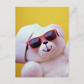 Cool Teddy Bear With Sunglass Postcard by inspirelove at Zazzle