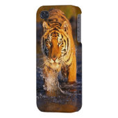 Cool Tiger Phone Case (Back Left)