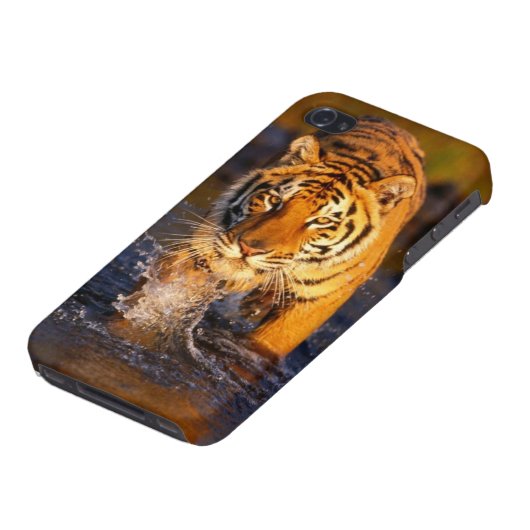 Cool Tiger Phone Case (Bottom)