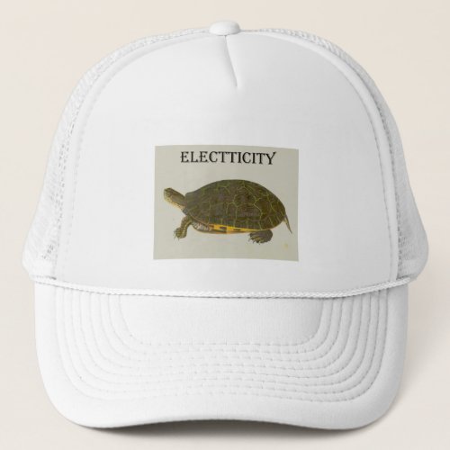 cool turtle trucker hat
