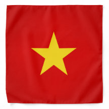 Cool Vietnam Flag Fashion