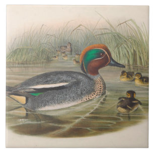 cool vintage ducks decor ceramic tile
