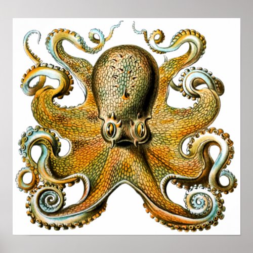 Cool Vintage Octopus Poster