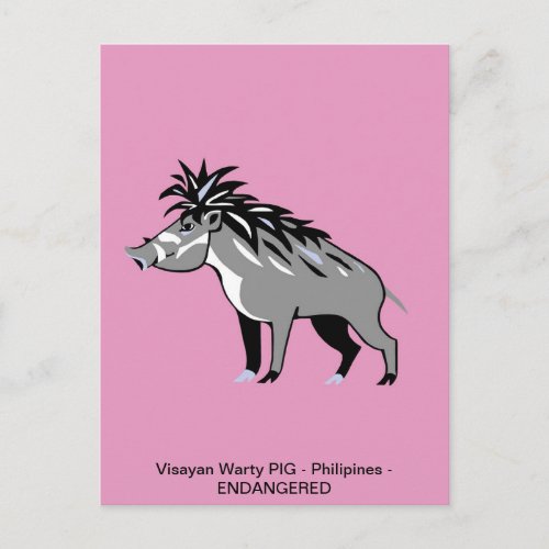 Cool Visayan Warty PIG _Warthog _ wildlife_ Nature Postcard