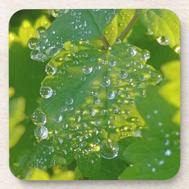 Cool Waterdrops On Green Leaf Beverage Coaster (Front)