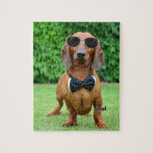 Cool with Sunglass Dachshund dog 110 puzzle