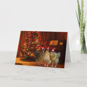 Cool Xmas Chickens Holiday Card