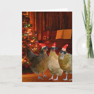 Cool Xmas Chickens Holiday Card