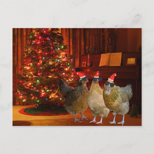 Cool Xmas Chickens Holiday Postcard | Zazzle.com