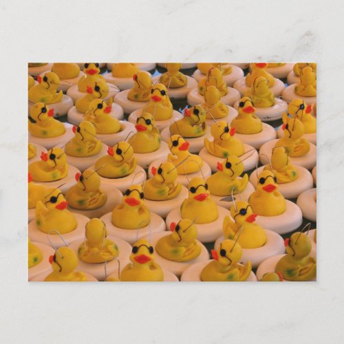 Cool Yellow Rubber Ducks Photo Funny Postcard