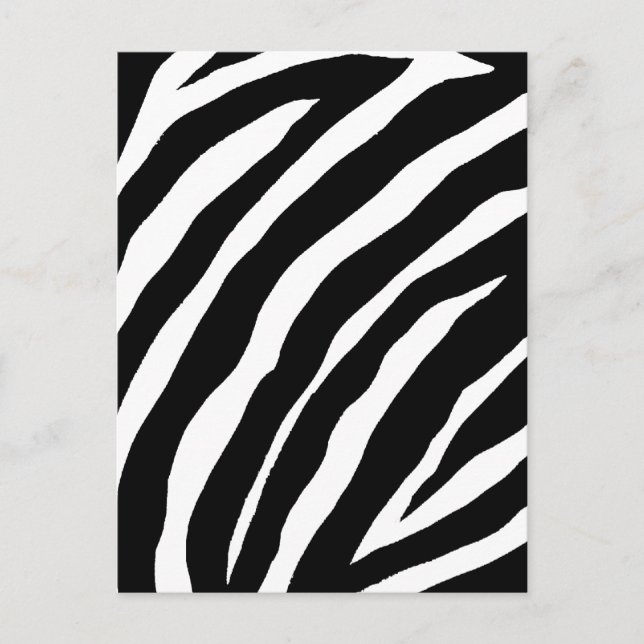 Cool Zebra Stripes Card (Front)