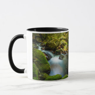 Coolalingo Waterfalls Mug: Serenity in Wicklow Mug