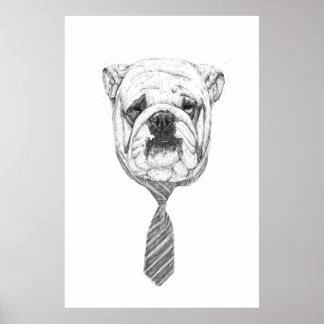 cooldog poster