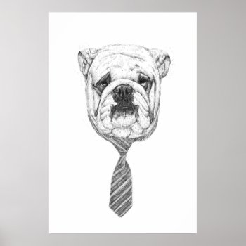 Cooldog Poster by bsolti at Zazzle
