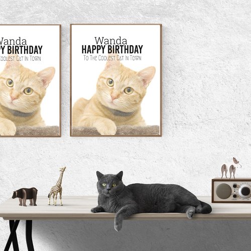 Coolest Cat Birthday Customizable  Poster