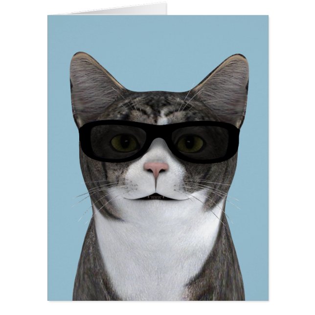 Coolest Cat With Black Sunglasses Cards (Front)