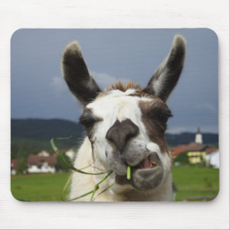 Coolest Llama Mouse Pad