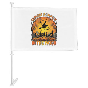 Coolest Pumpkin Patch Halloween Witch Spiders Grav Car Flag