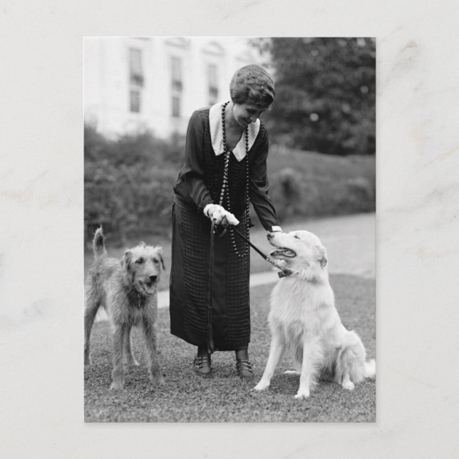 Coolidge & The Gang: 1924 Postcard (Front)