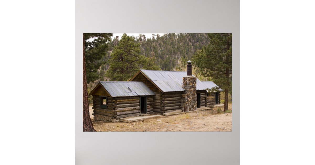 Coon Creek Cabin Poster Zazzle