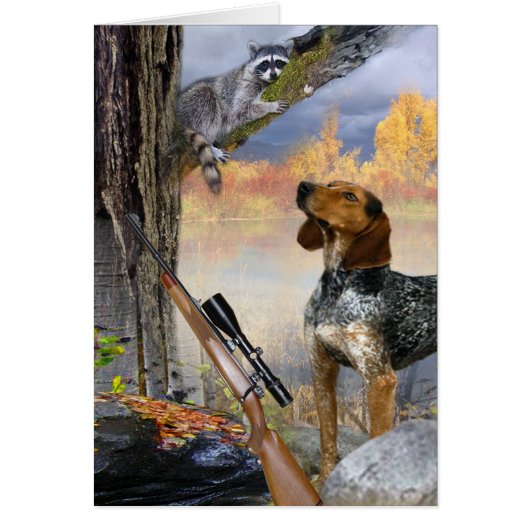 Coon Dog Trees Raccoon Cards (Front)