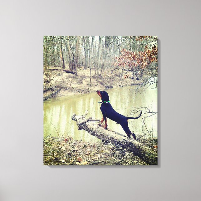 Coon hound at the river canvas (Front)