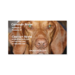 Coon Hound Business Card