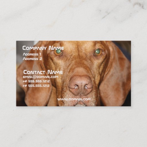 Customizable Coon Hound Business Card