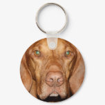 Coon Hound Keychain
