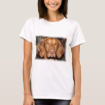 Coon Hound Ladies Fitted T-Shirt