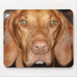 Coon Hound Mouse Pad