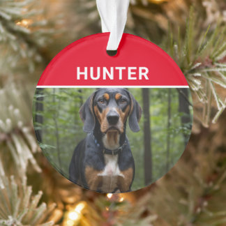 Coonhound with Dog's Name and Photo Christmas Ornament