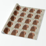 Coonhound Wrapping Paper