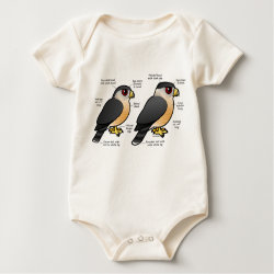 Coop v Sharpie Infant Organic Creeper