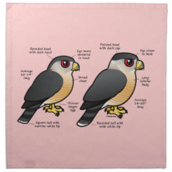 Coop v Sharpie Cloth Napkins (set of 4) dinner 20