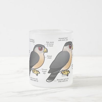 Coop v Sharpie Frosted Glass Coffee Mug