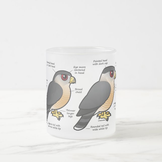 Coop v Sharpie Frosted Glass Coffee Mug (Center)