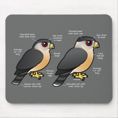 Coop v Sharpie Mouse Pad