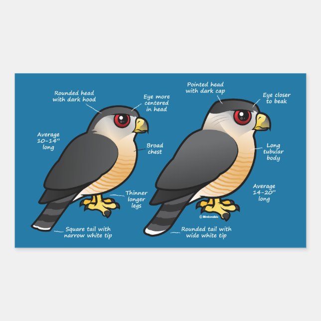 Coop v Sharpie Rectangular Sticker (Front)