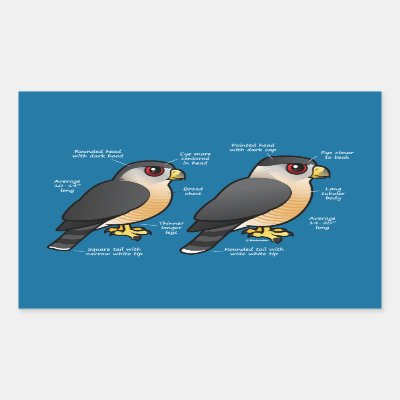 Coop v Sharpie Rectangular Sticker