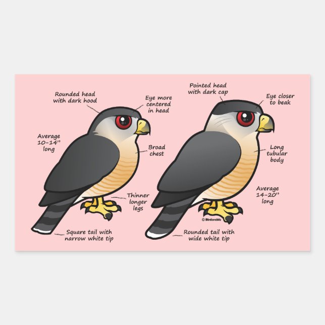 Coop v Sharpie Rectangular Sticker (Front)