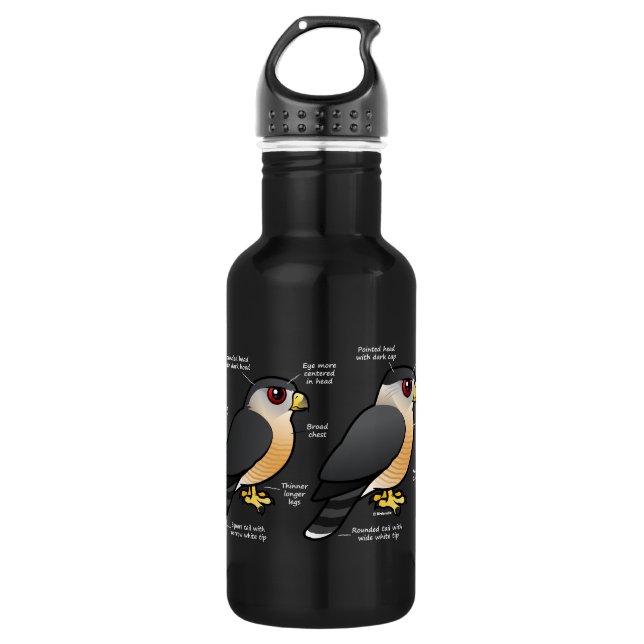 Coop v Sharpie Stainless Steel Water Bottle (Front)