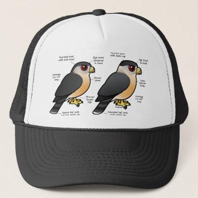 Coop v Sharpie Trucker Hat
