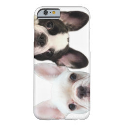 Cooper &amp; Fredrick the Frenchies iPhone / iPad case