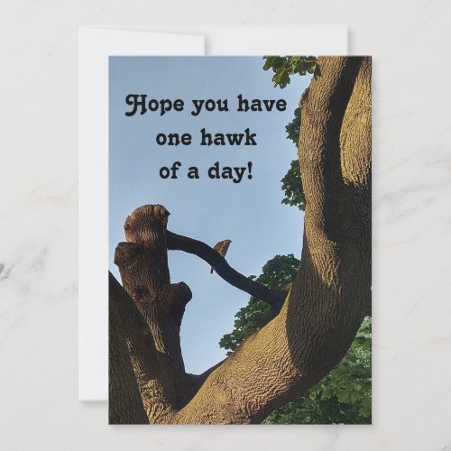 Cooper Hawk Well Wishes Card